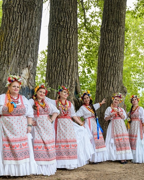 Фартуки из полульна "Вышивка петухи на серо-бежевом" и пояса из лент тканых